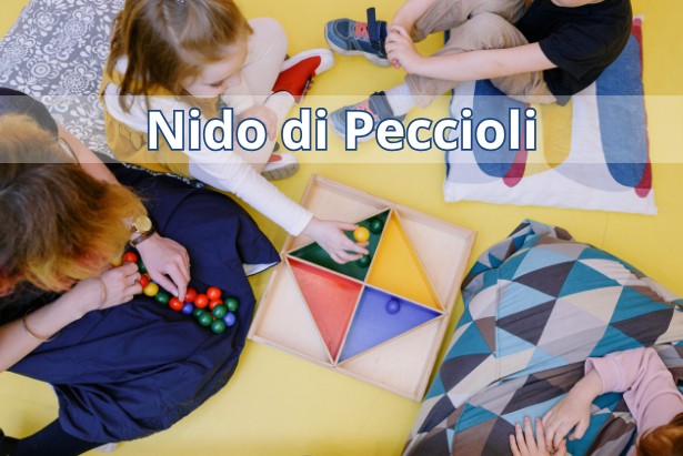 nido di peccioli