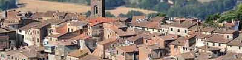 Bando 2025 per mostre temporanee