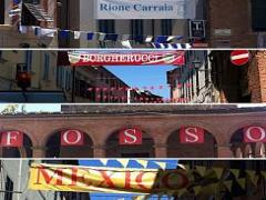 Feste dei Rioni Pecciolesi