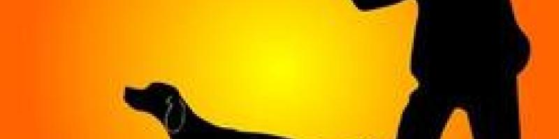 STAGIONE VENATORIA 2024-2025- RITIRO TESSERINI