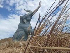 Il lavoro artistico e scientifico di Naturaliter per i mammut di Peccioli