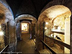 Il Museo Archeologico di Peccioli ottiene il riconoscimento di rilevanza nazionale