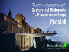 Ricerca e selezione del gestore del ristorante del Palazzo senza Tempo