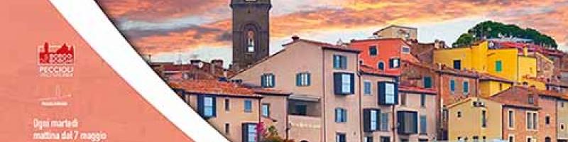 Peccioli i tour del martedì