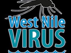 West Nile scheda informativa regionale