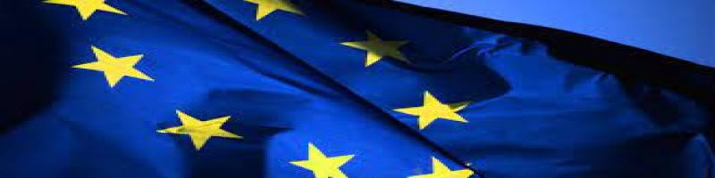 Celebrata la Festa dell'Europa 2021. La biblioteca e il sovrappasso pedonale illuminati di blu