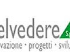 Belvedere S.p.A. Selezione di personale