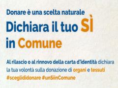 Dichiara il tuo sì in Comune