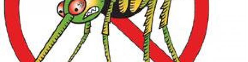 Peccioli, ecco la “mappa” degli interventi contro zanzare e roditori nel territorio comunale