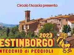 Festinborgo 2023 a Montecchio