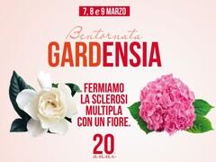 Le gardenie e le ortensie di AISM a Peccioli