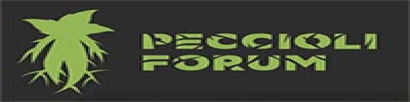 Peccioli Forum, il 3,4 e 5 novembre